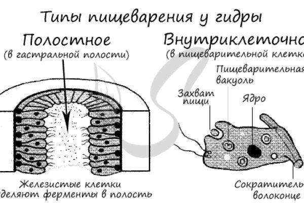 Не пришли деньги на кракен