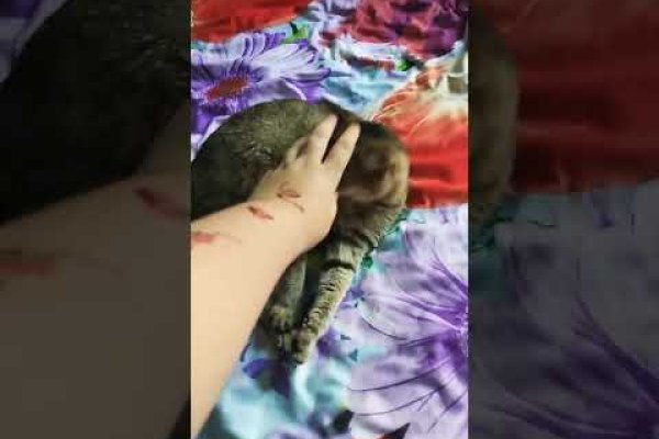 Кракен как зайти
