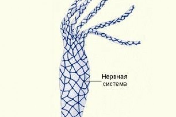 Кракен зеркало тор picassogallery com