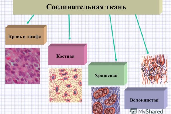 Ссылка на сайт кракен в тор браузере