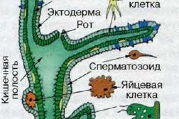 Кракен маркетплейс это